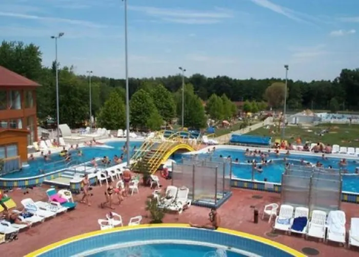 Apartament Pine Wood 7 *